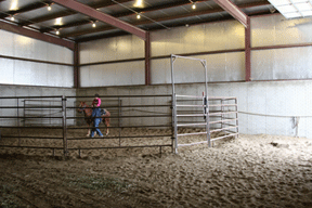 Indoor Roundpen at 5 Star Stable